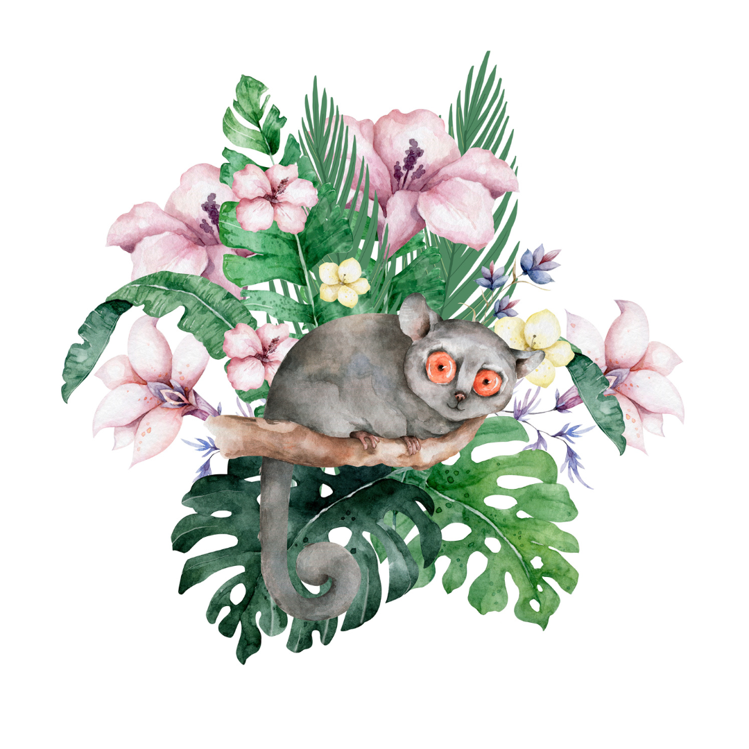 Newly Discovered Species