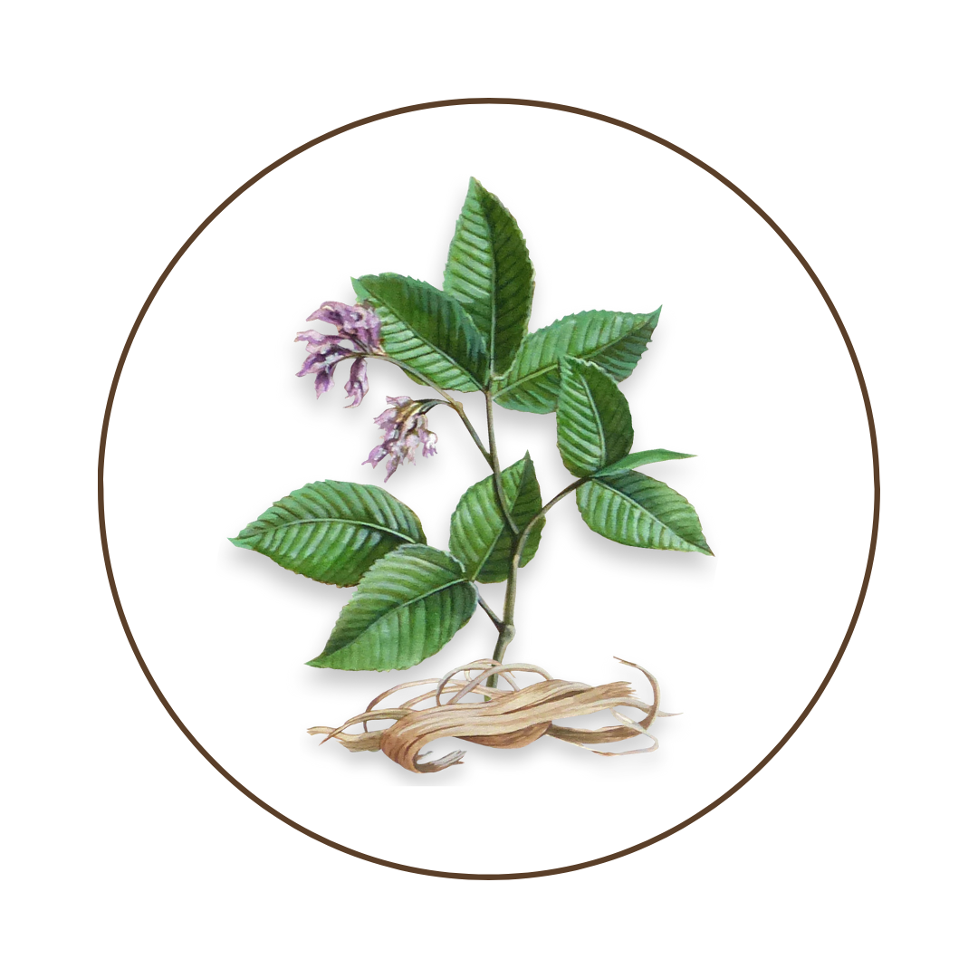 Slippery Elm Digestives