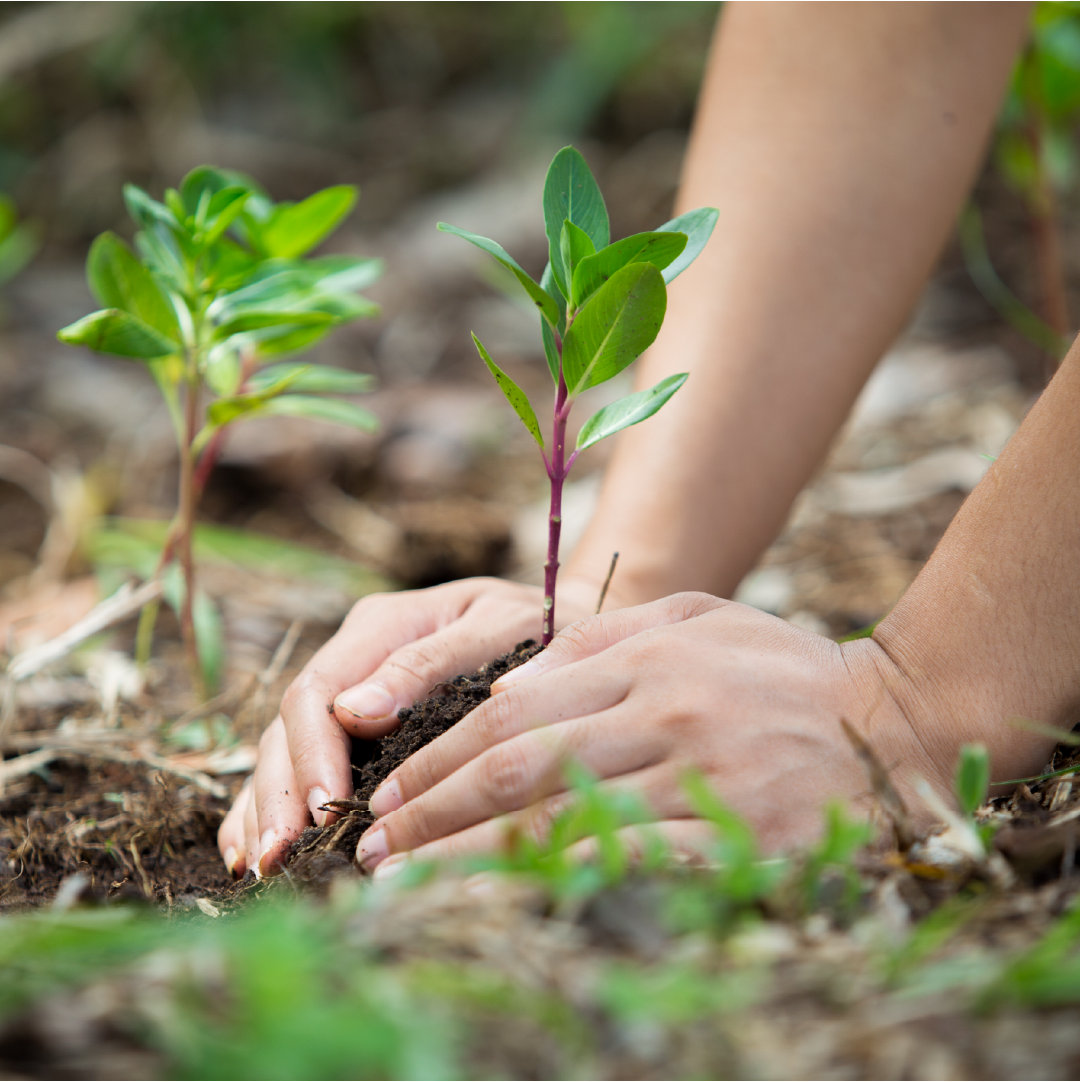 Being More Environmentally Responsible