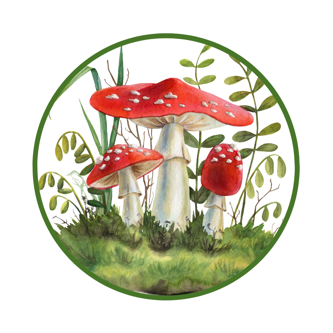 Our Mushroom Allies