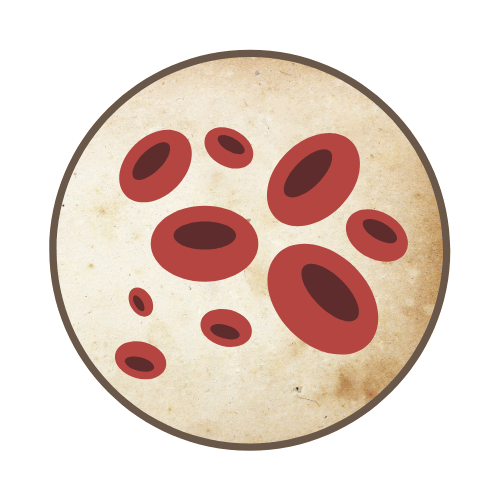 The Blood Sugar System