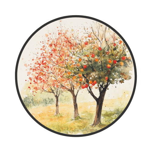 What to do With Your Trees in the Fall