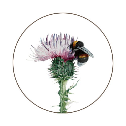Draw Happy Little Bees to Your Happy Little Garden