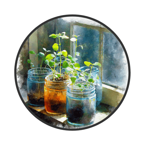 How to Start Seeds Indoors: A Beginner’s Guide to Strong, Healthy Seedlings
