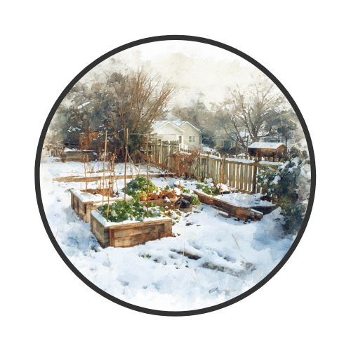 Winter Gardening Insights: Snowpack, Soil Health, and Seed Stratification