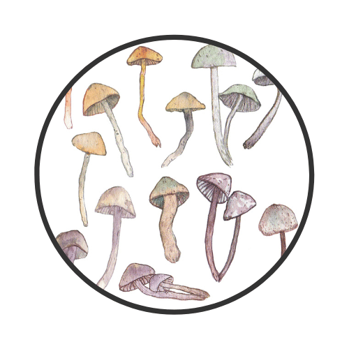 The Science Behind Microdosing