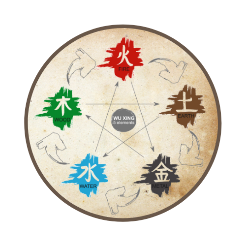 TCM and Organ Pairing (Zang-Fu)