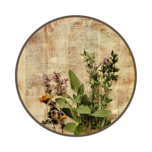 Your Guide to Writing a Helpful Supplement Review