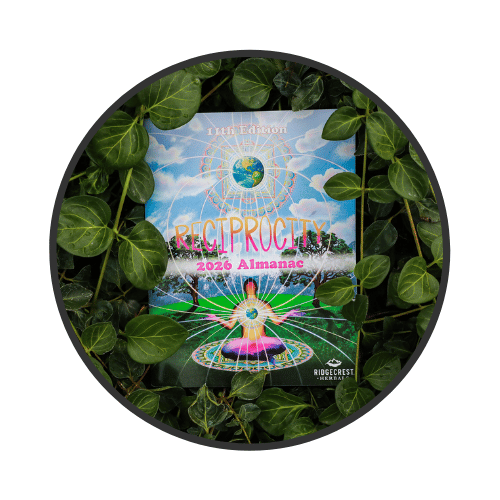 2026 Almanac Puzzle Answers