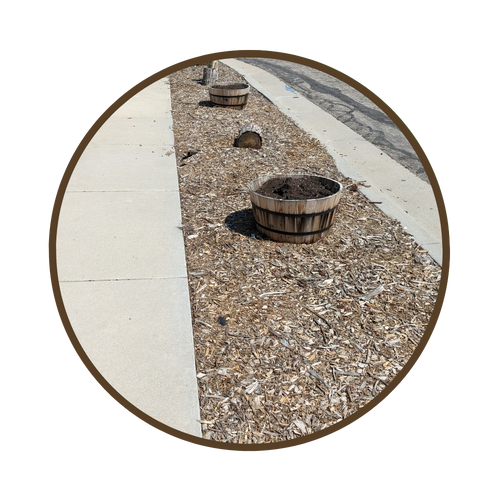 Flip Your Strip - Landscaping Water-Wise Parking Strips
