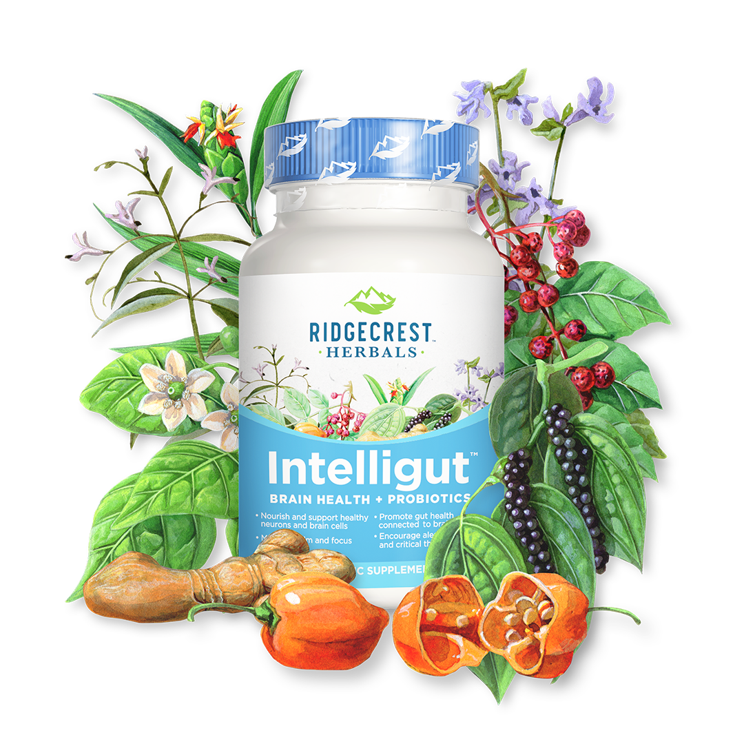 Ridgecrest Herbals' New Product Intelligut Wins Supplement Essentials Award