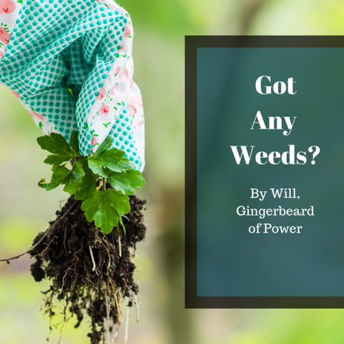 Got any Weeds?