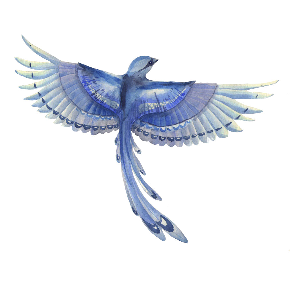 Letting Go of Emotional Suffering