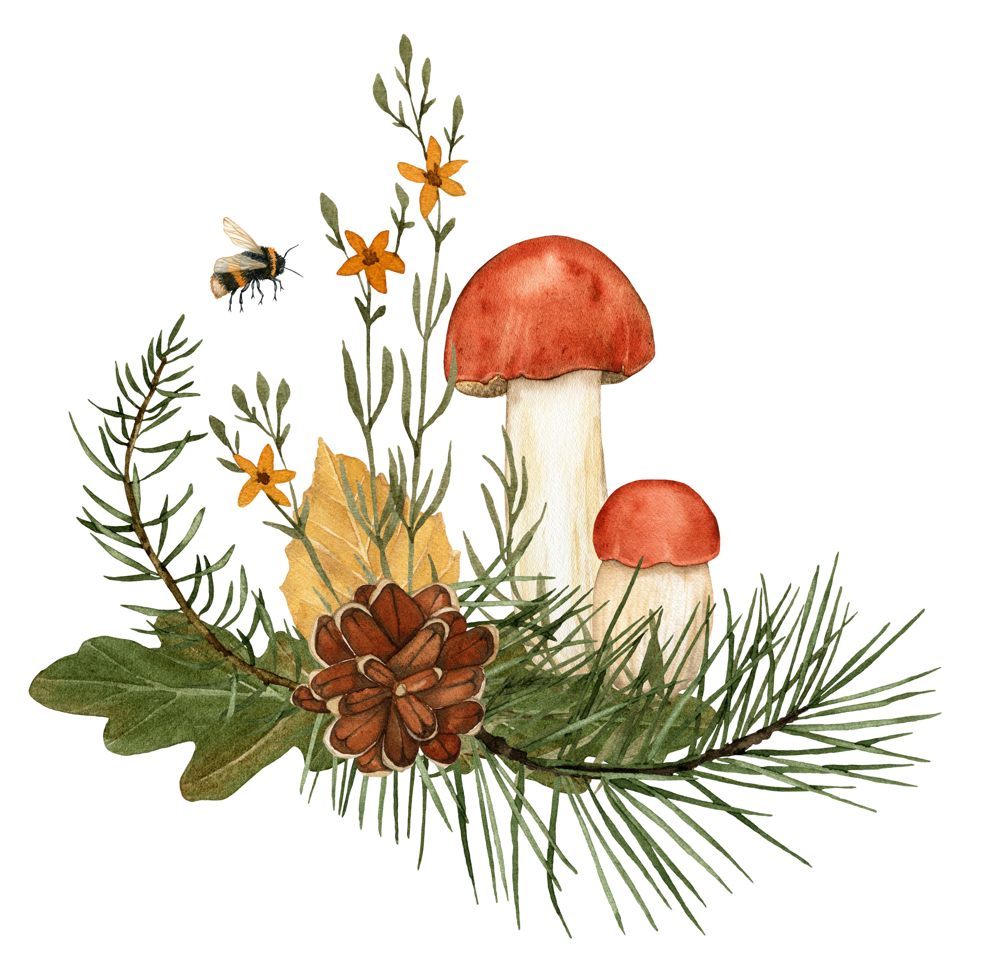 Enrichment Through Asking