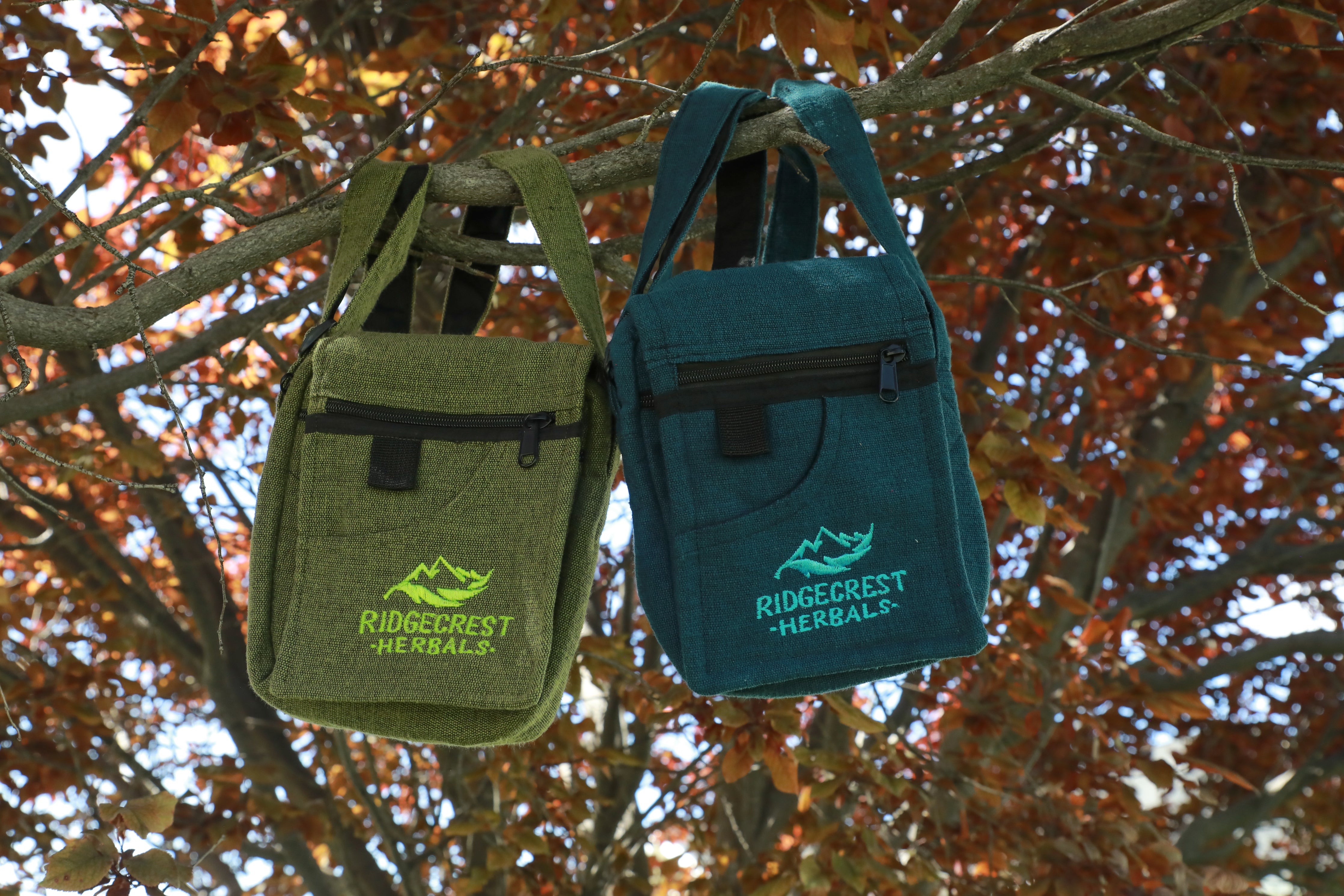 Two Ridgecrest Herbals adventure satchels, one green and one blue, hang from an autumnal tree branch