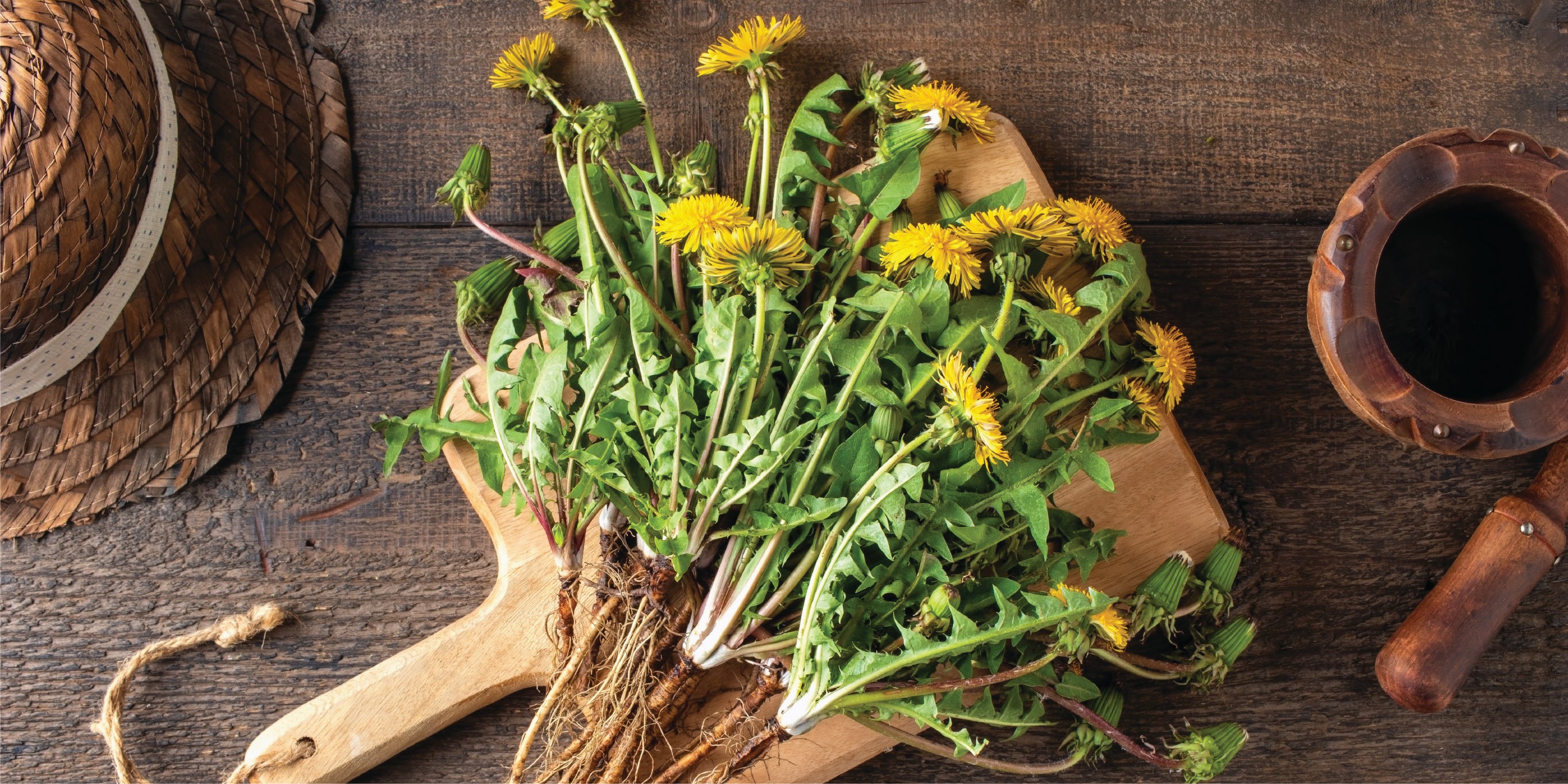 A horizontal rectangular overhead photograph of fresh yellow Dandelion flowers and greens arranged on a wooden cutting board next to a mortar and pestle.