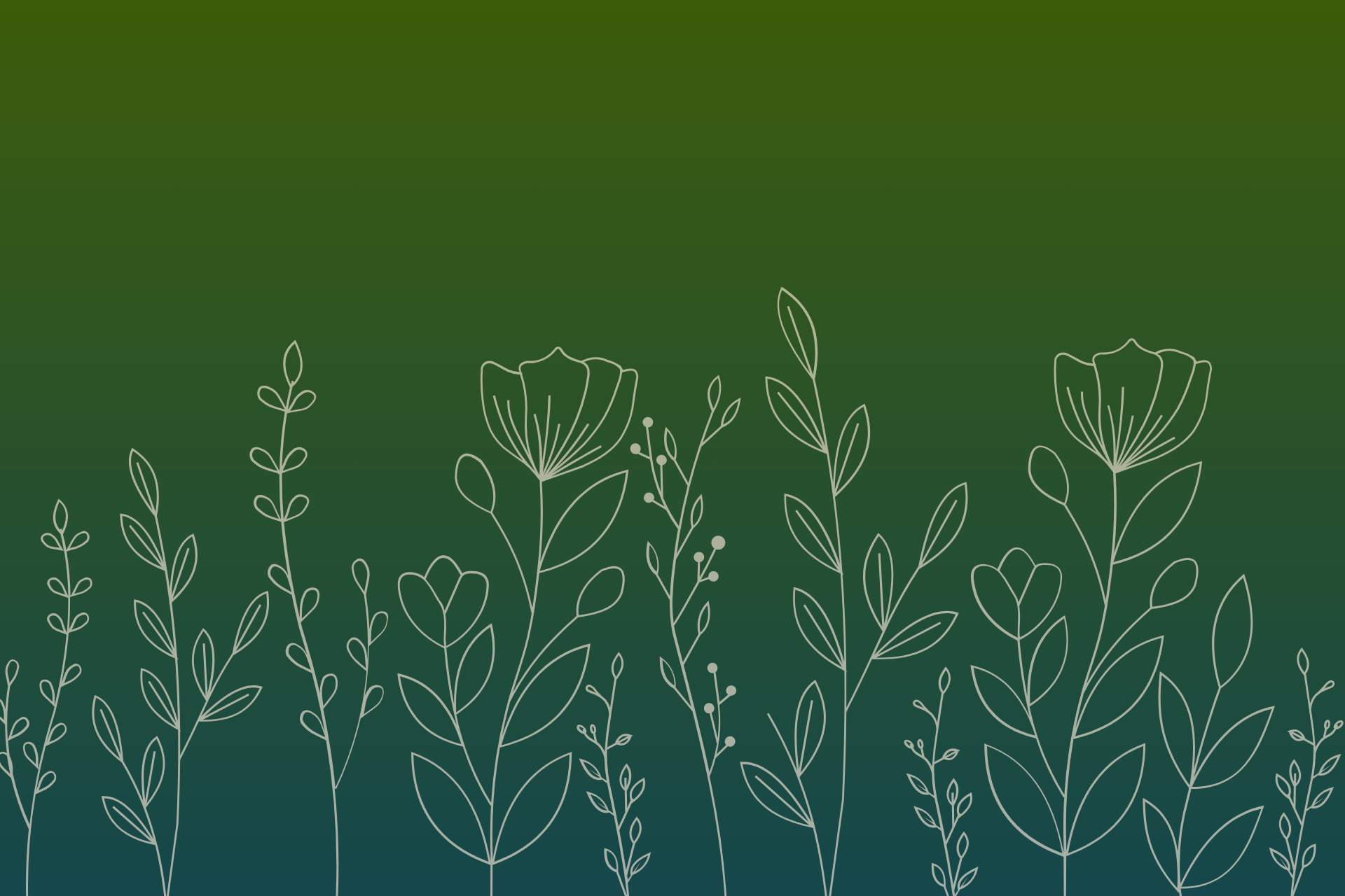 A rectangular banner graphic featuring a dark olive green background with delicate white line-art wildflowers growing along the bottom edge.