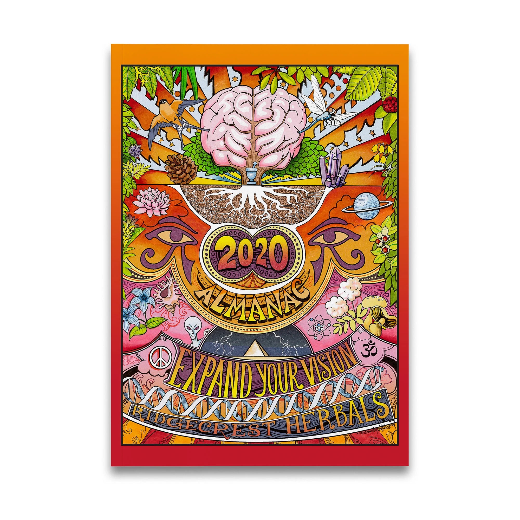 2020 almanac cover with a vibrant brain illustration, 'Expand Your Vision' text, and psychedelic colors with white background