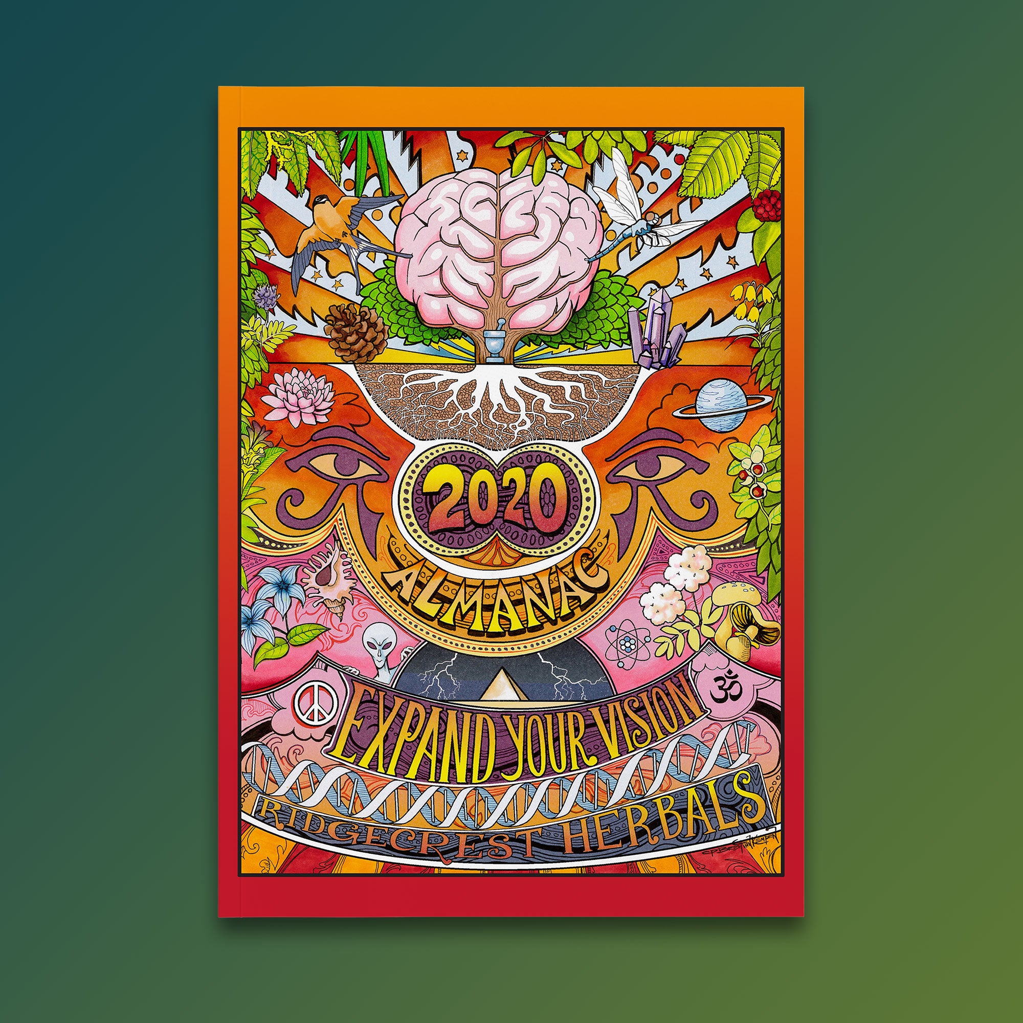 2020 almanac cover with a vibrant brain illustration, 'Expand Your Vision' text, and psychedelic colors.