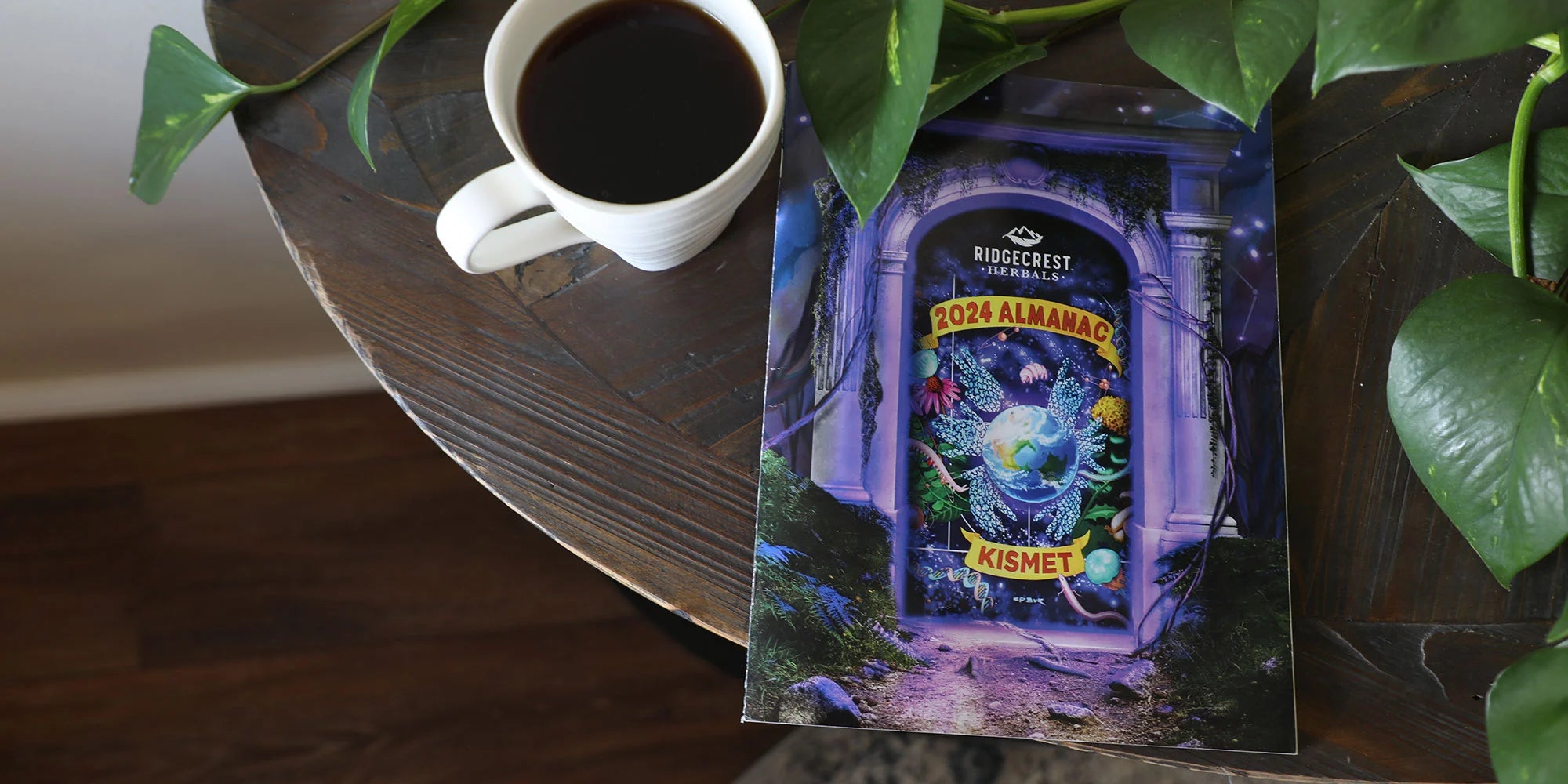 2024 almanac on a table with a white mug of black coffee surrounded by lush green leaves.