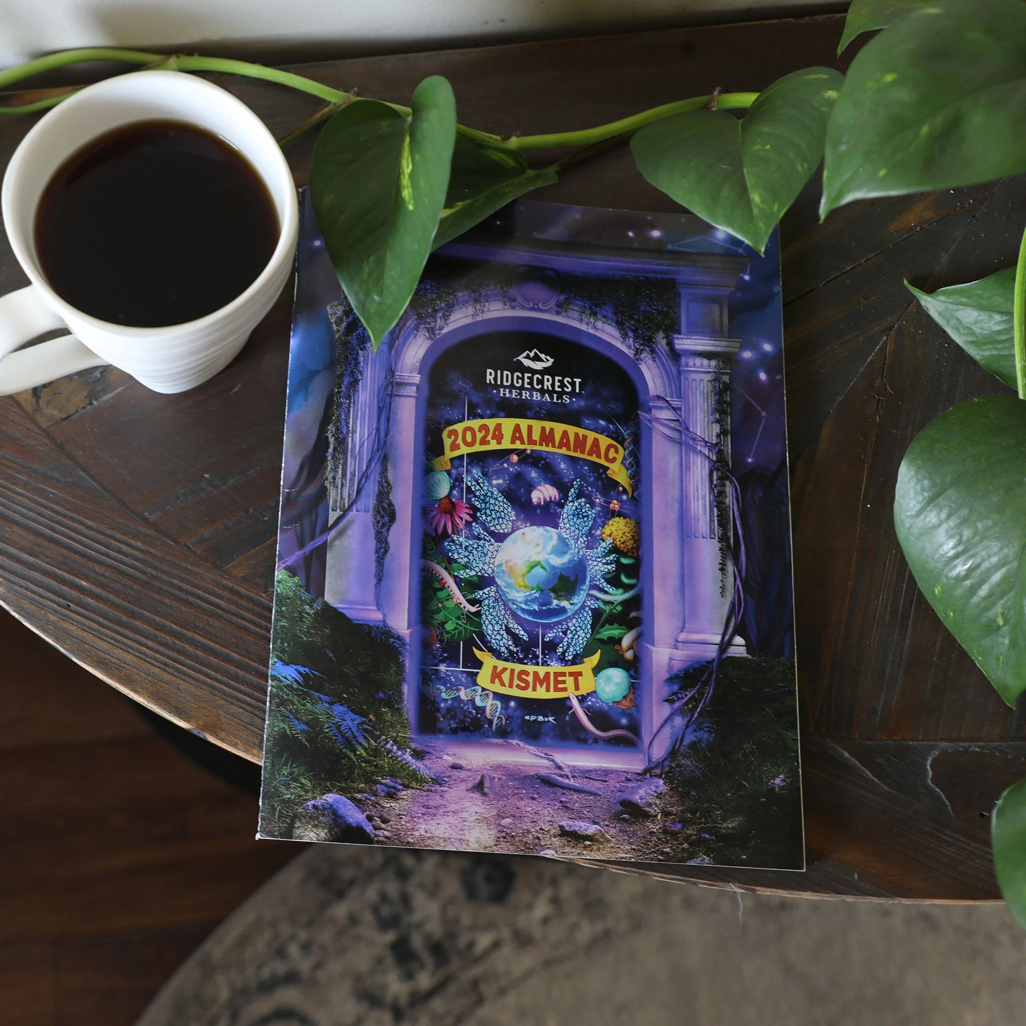 2024 almanac on a table with a white mug of black coffee surrounded by lush green leaves.