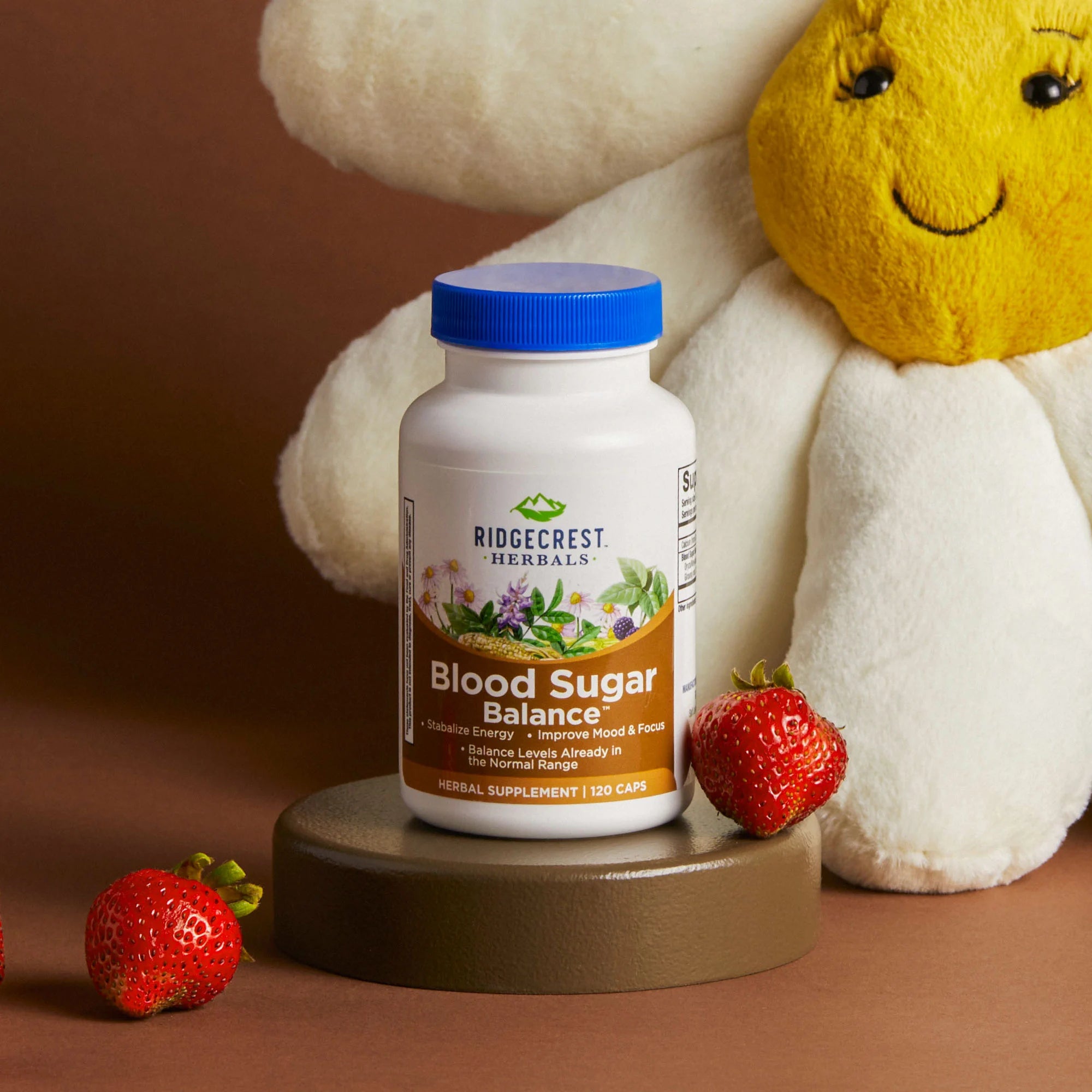Blood Sugar Balance supplement is displayed with fresh strawberries and a plush daisy flower toy, set against a brown background.