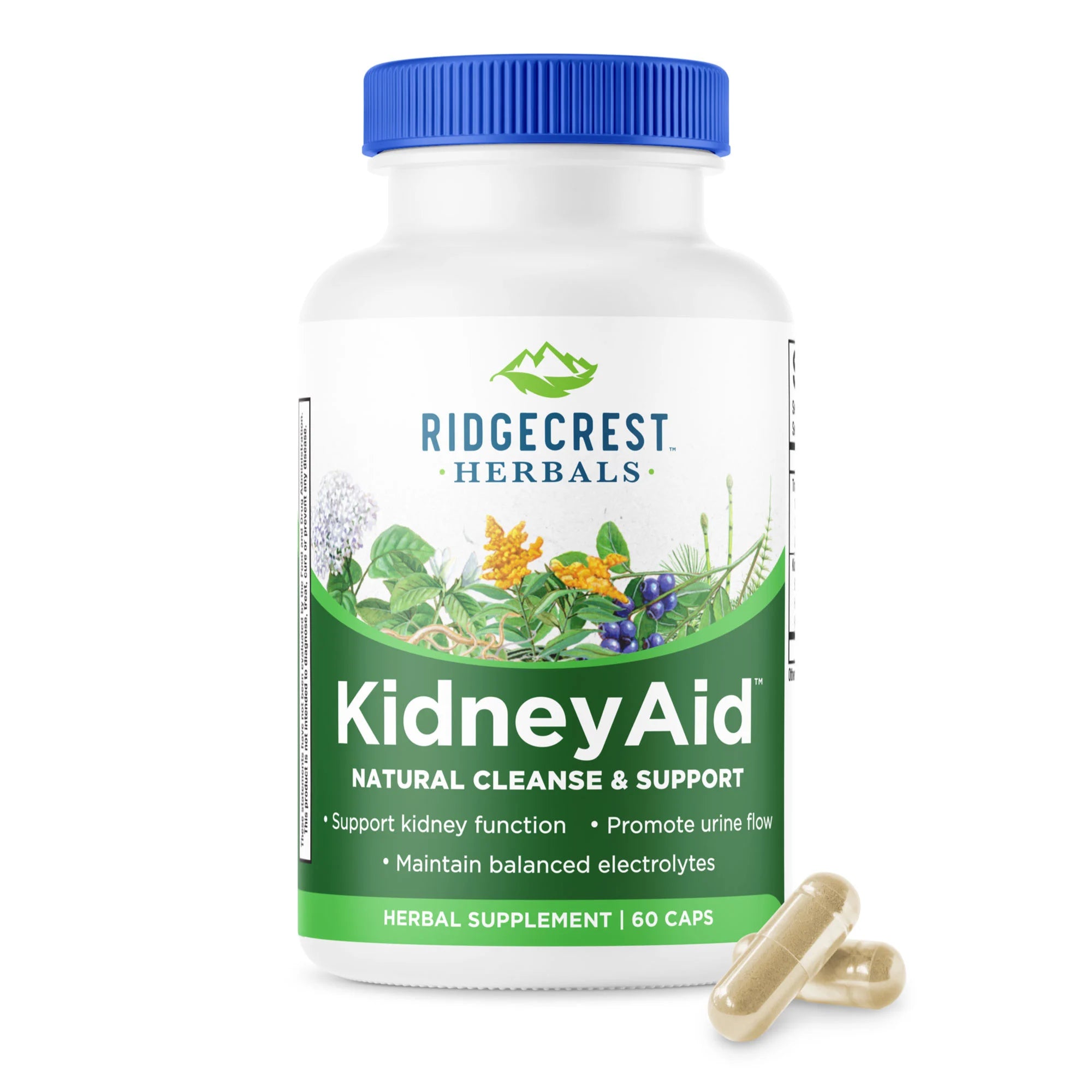 ソフビ　CLEARPRAY 春松　RENALOID リーナロイド　腎臓 KidneyAid™