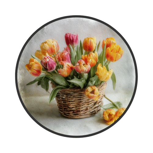 Tulip Mania