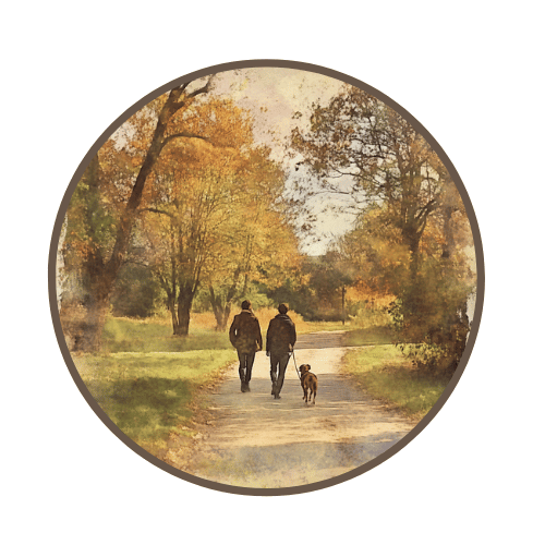 The Benefits of Walking