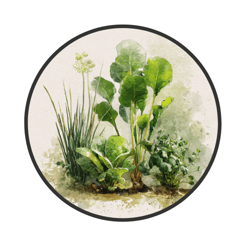 Spring Garden Guide: Planting