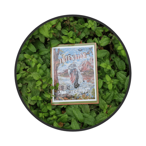 The Story Behind the RidgeCrest Herbals Almanac