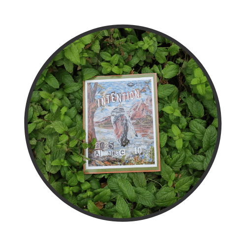 2025 Almanac Trivia Puzzle Answers