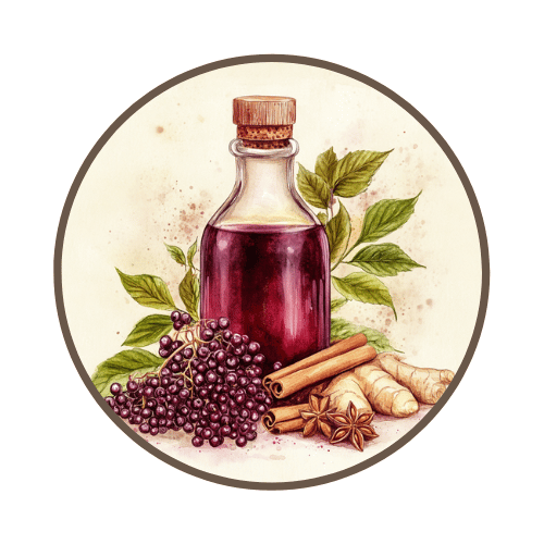 Elderberry Syrup Recipe