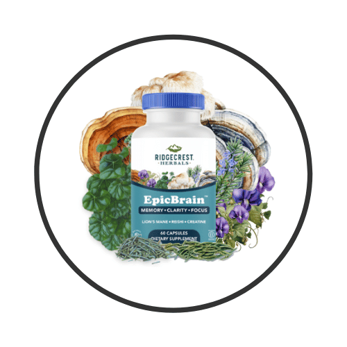 How EpicBrain™ Works