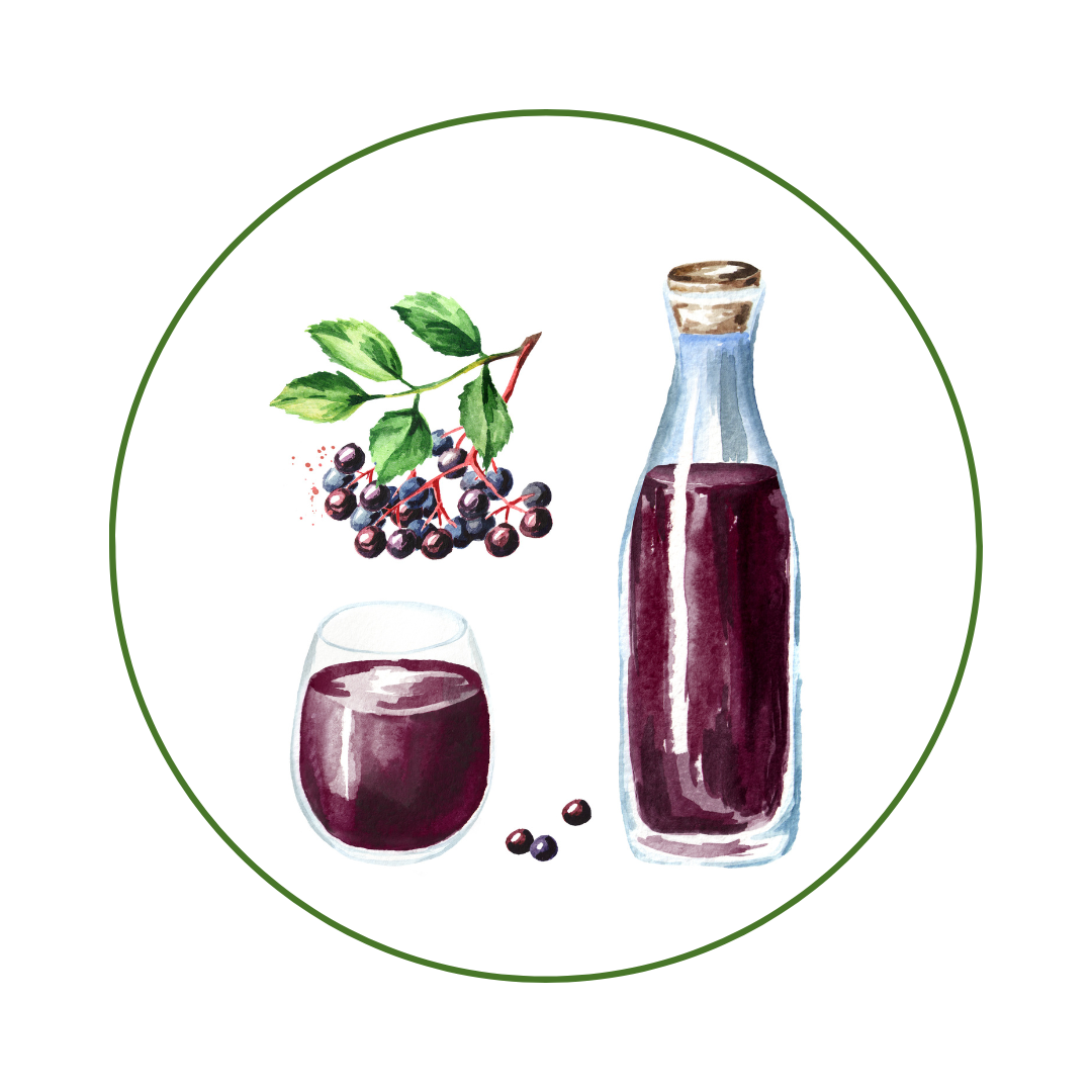Elderberry Syrup Recipe – RidgeCrest Herbals