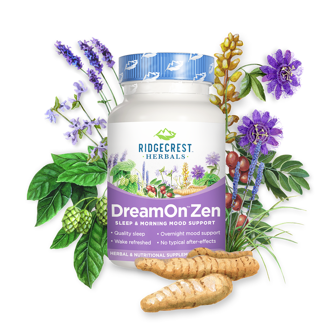 DreamOn Zen Wins 2022 Taste for Life Women’s Essentials Award