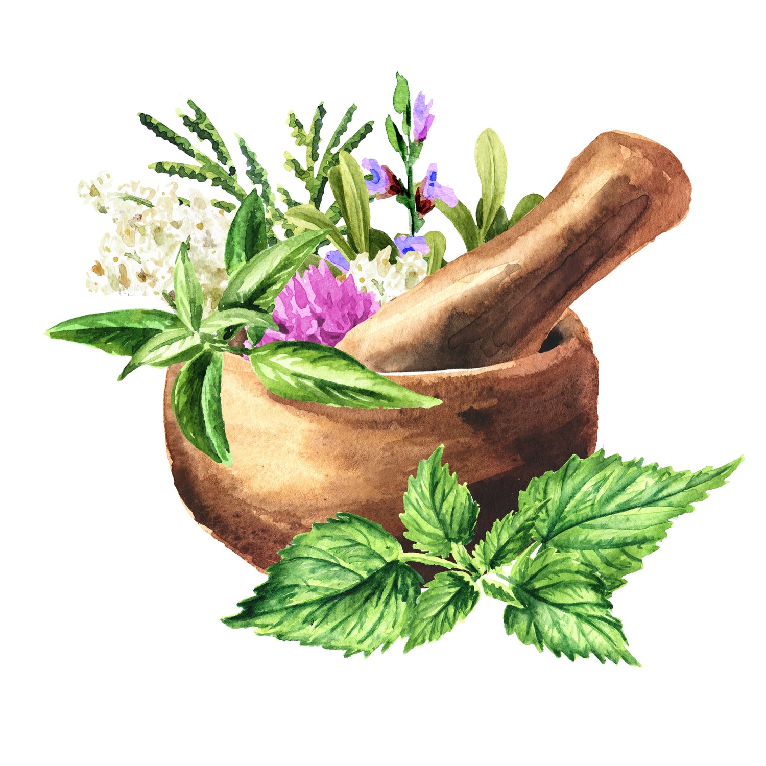 make homemade herbal extracts