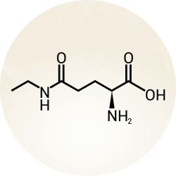 Chemical structure of L-theanine on a light beige background