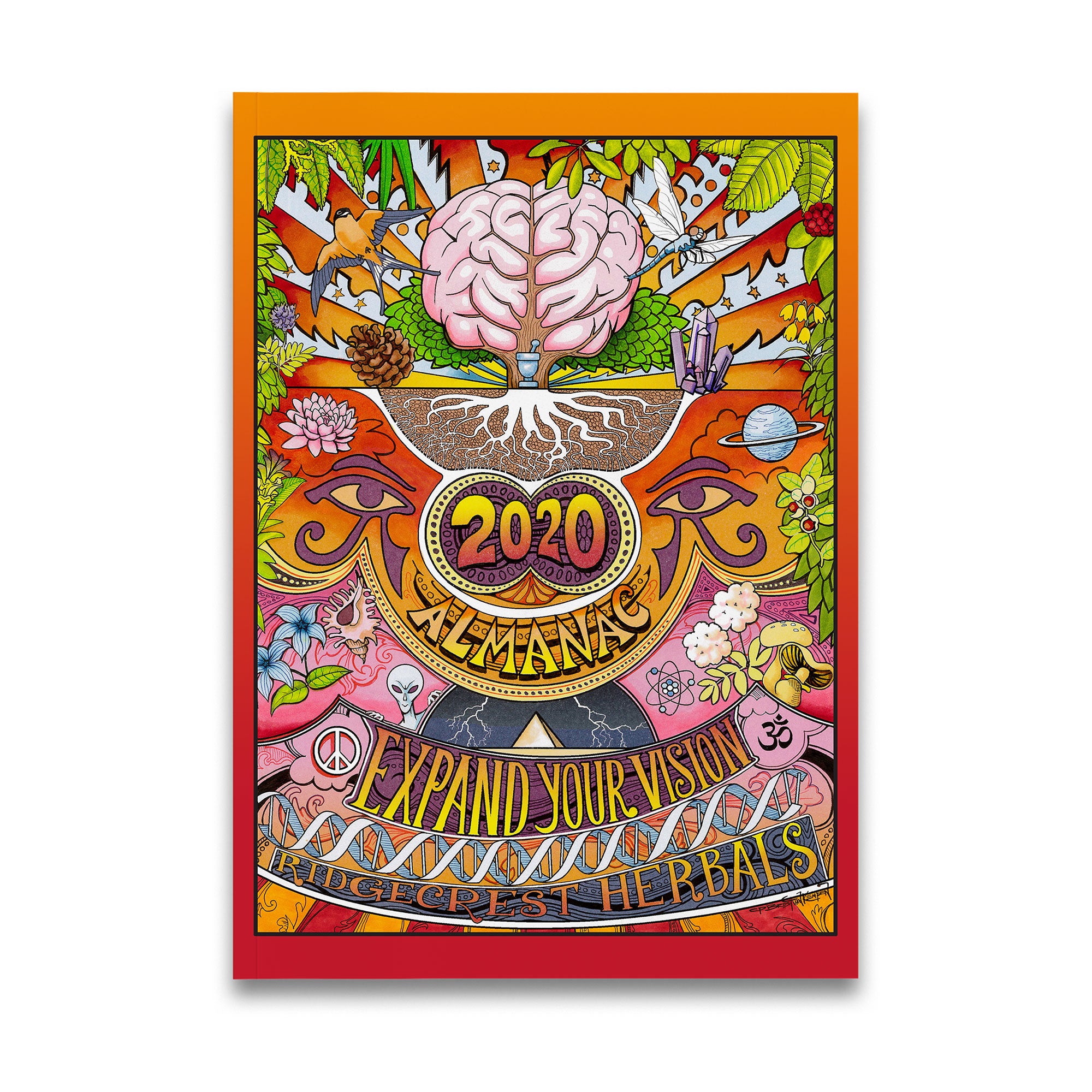 2020 almanac cover with a vibrant brain illustration, 'Expand Your Vision' text, and psychedelic colors