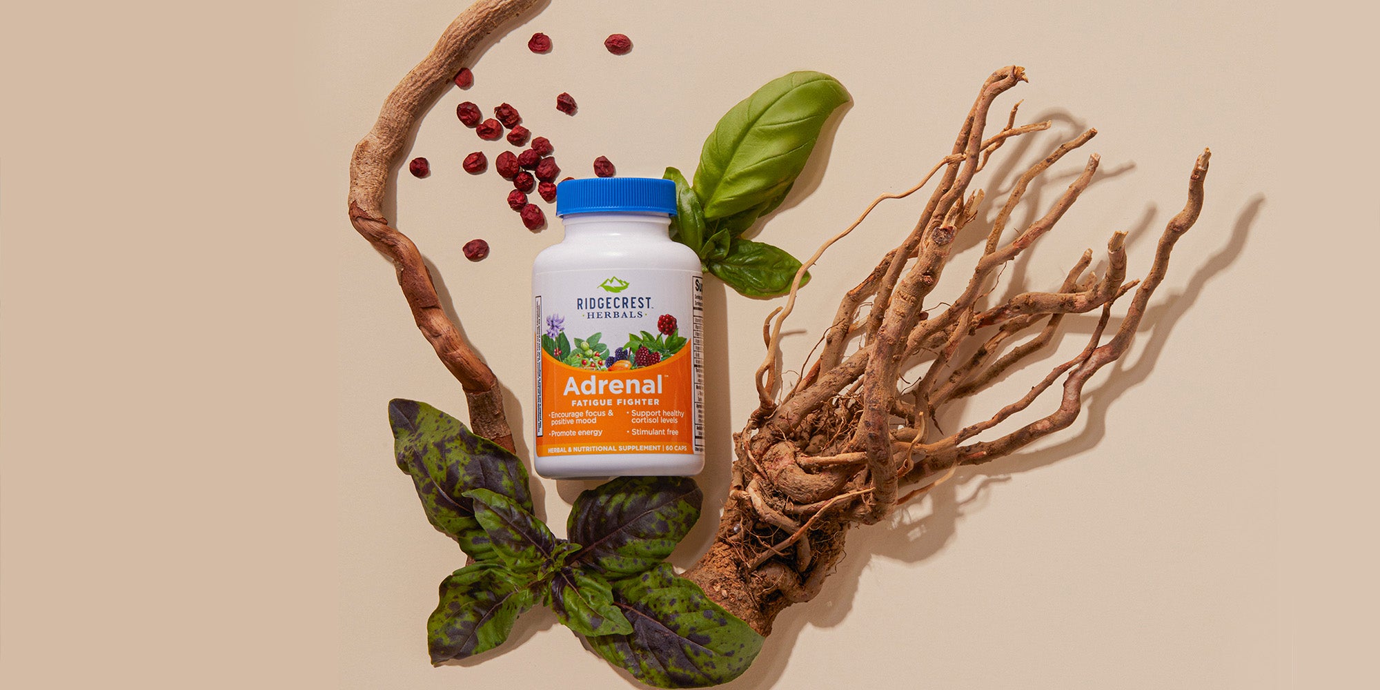 Adrenal Fatigue Fighter supplement is displayed with dried berries, basil leaves, and ginseng root, set against a beige background.