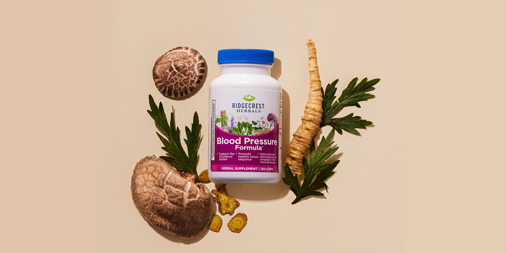 Blood Pressure Formula supplement is displayed with shiitake mushrooms, ginseng root, and green leaves, set against a beige background.