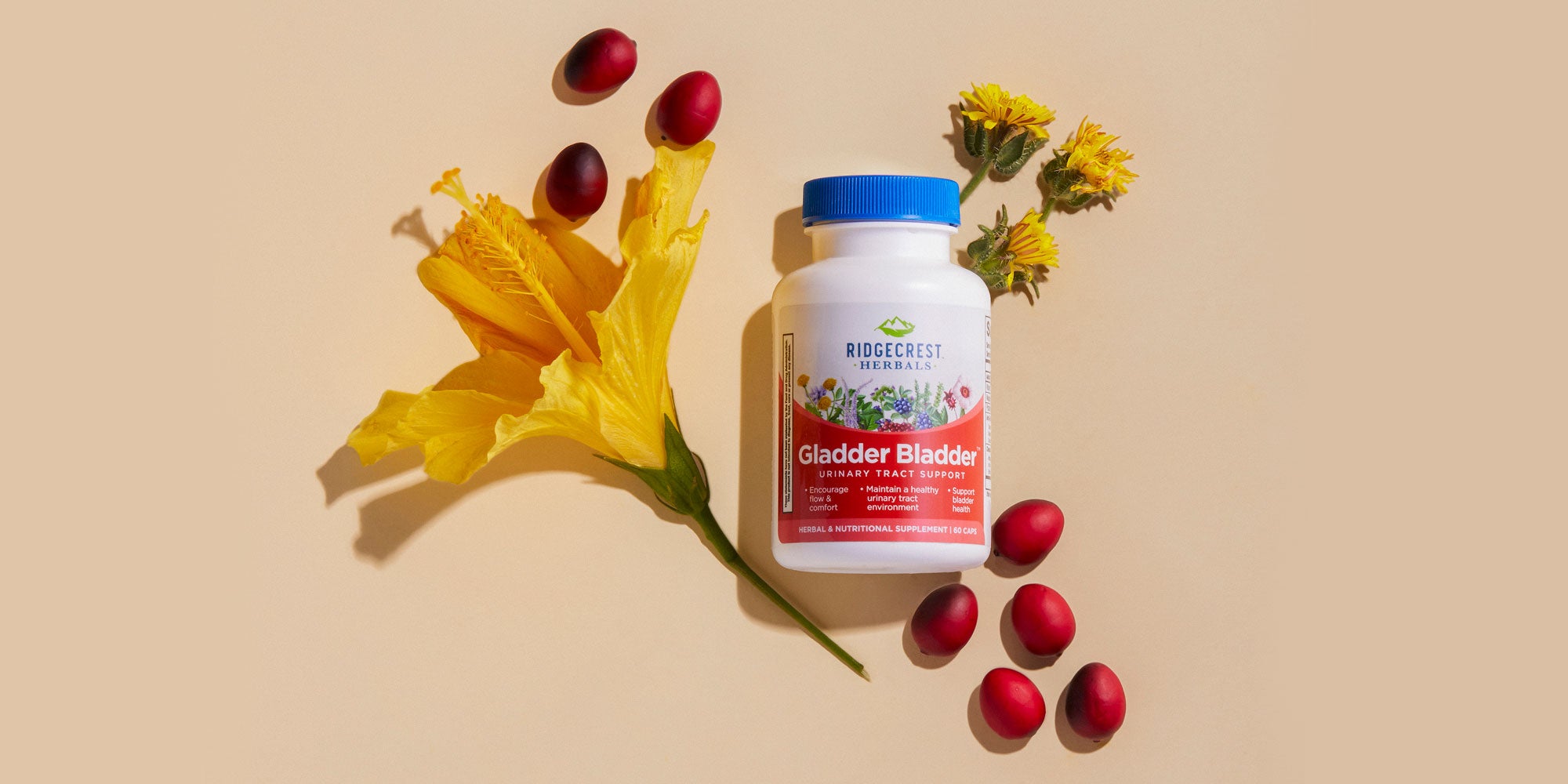 Gladder Bladder bottle is displayed with yellow hibiscus, yellow dandelion flowers, and scattered cranberries, against a beige background.