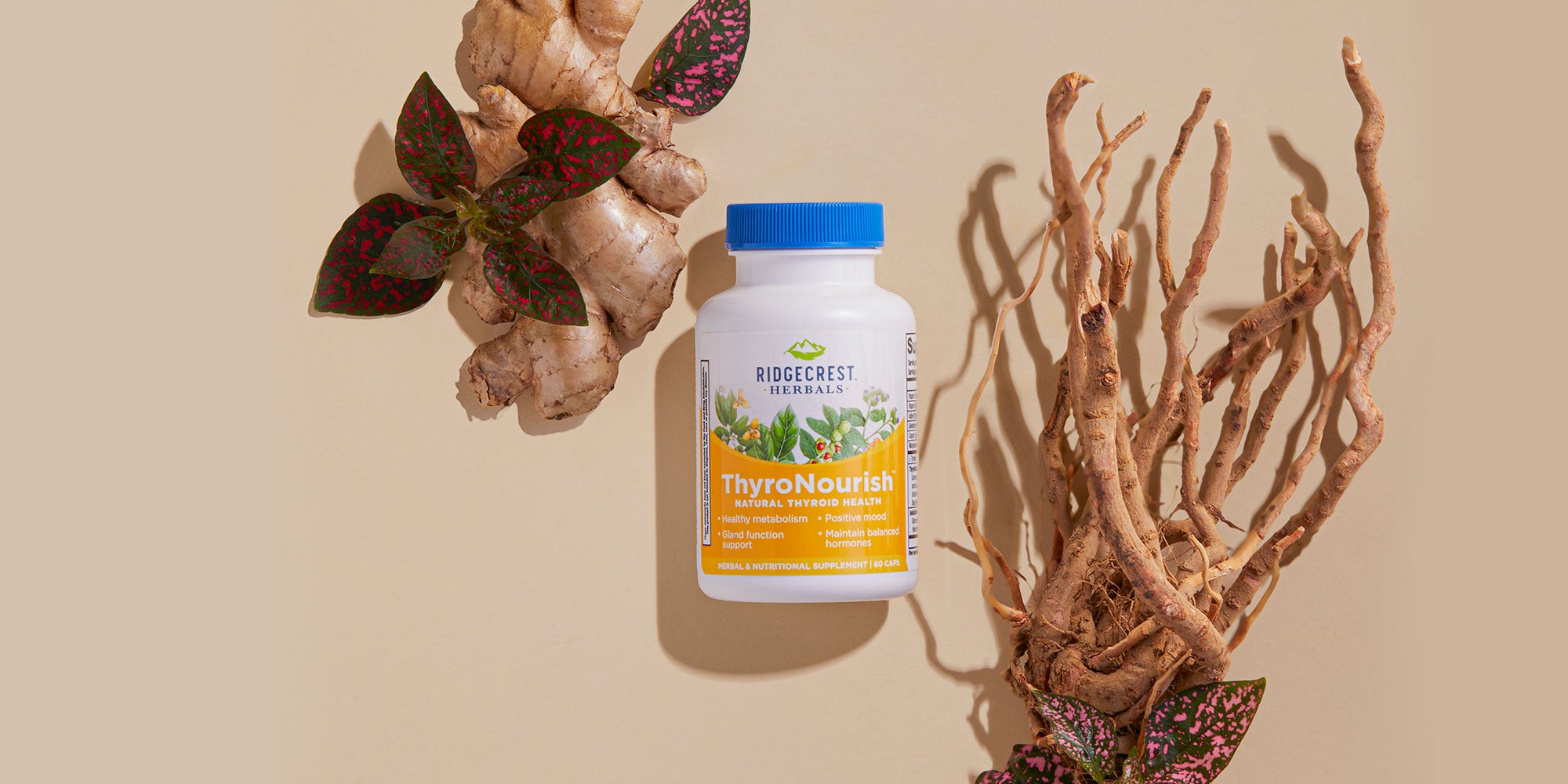 ThyroNourish bottle placed on a neutral background, framed by ginger root and plant leaves.