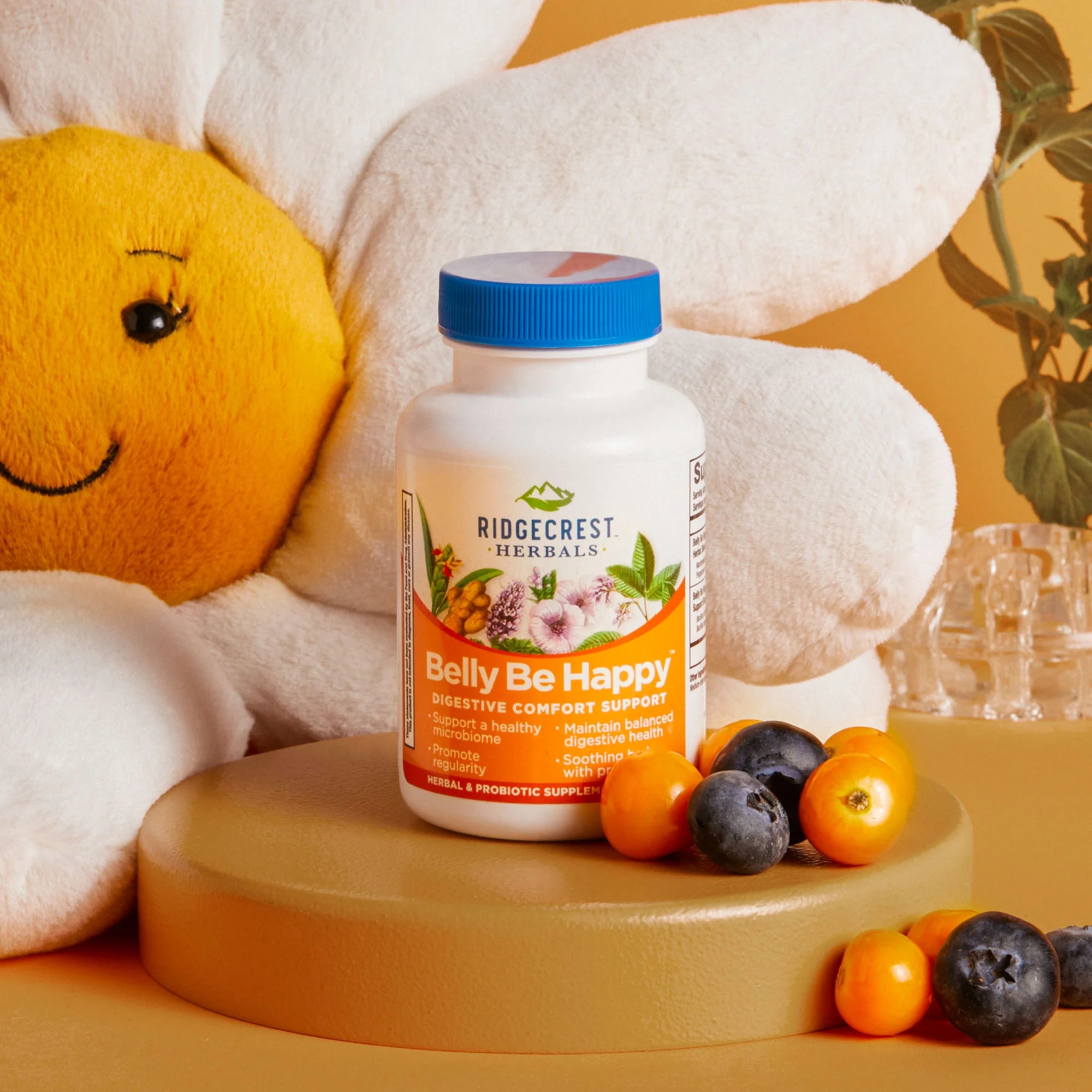 Belly Be Happy supplement is displayed with a plush daisy flower toy, blueberries, and golden berries, with a warm yellow background.