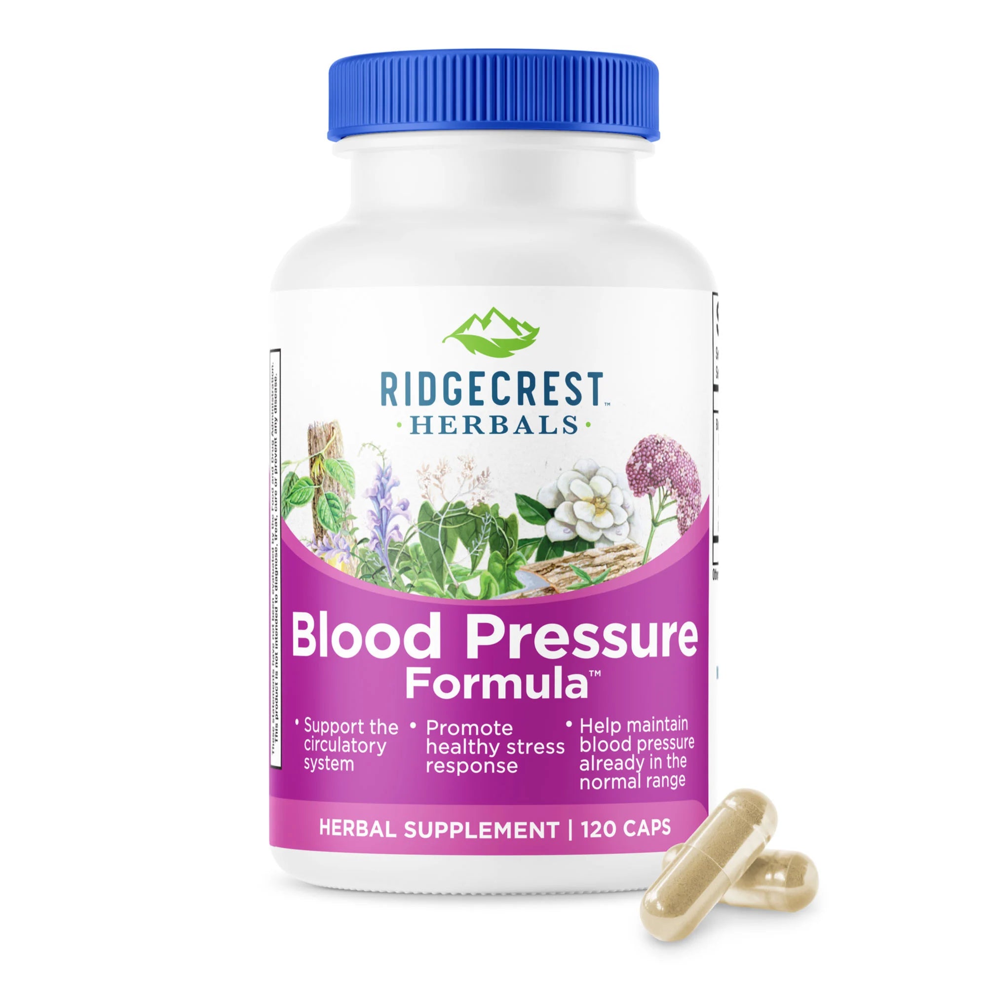 Blood Pressure Formula bottle on a white background, with two capsules in front