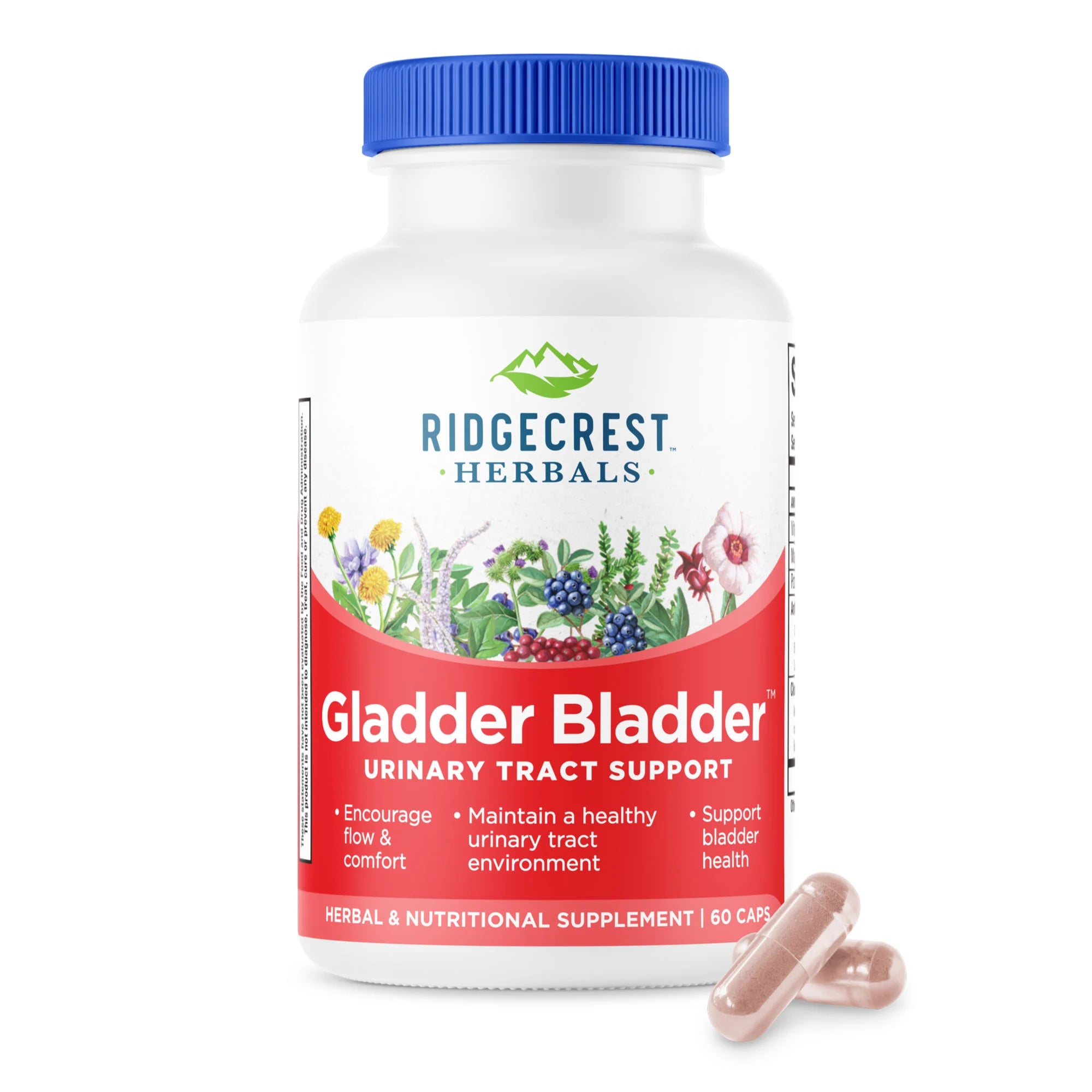 GladderBladder supplement bottle on a white background, with two capsules in front