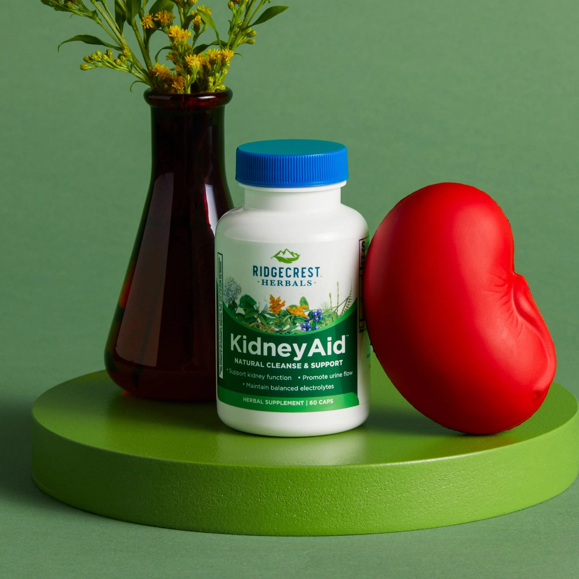 KidneyAid supplement is displayed with a red kidney-shaped model and yellow flowers in a vase, set against a green background.