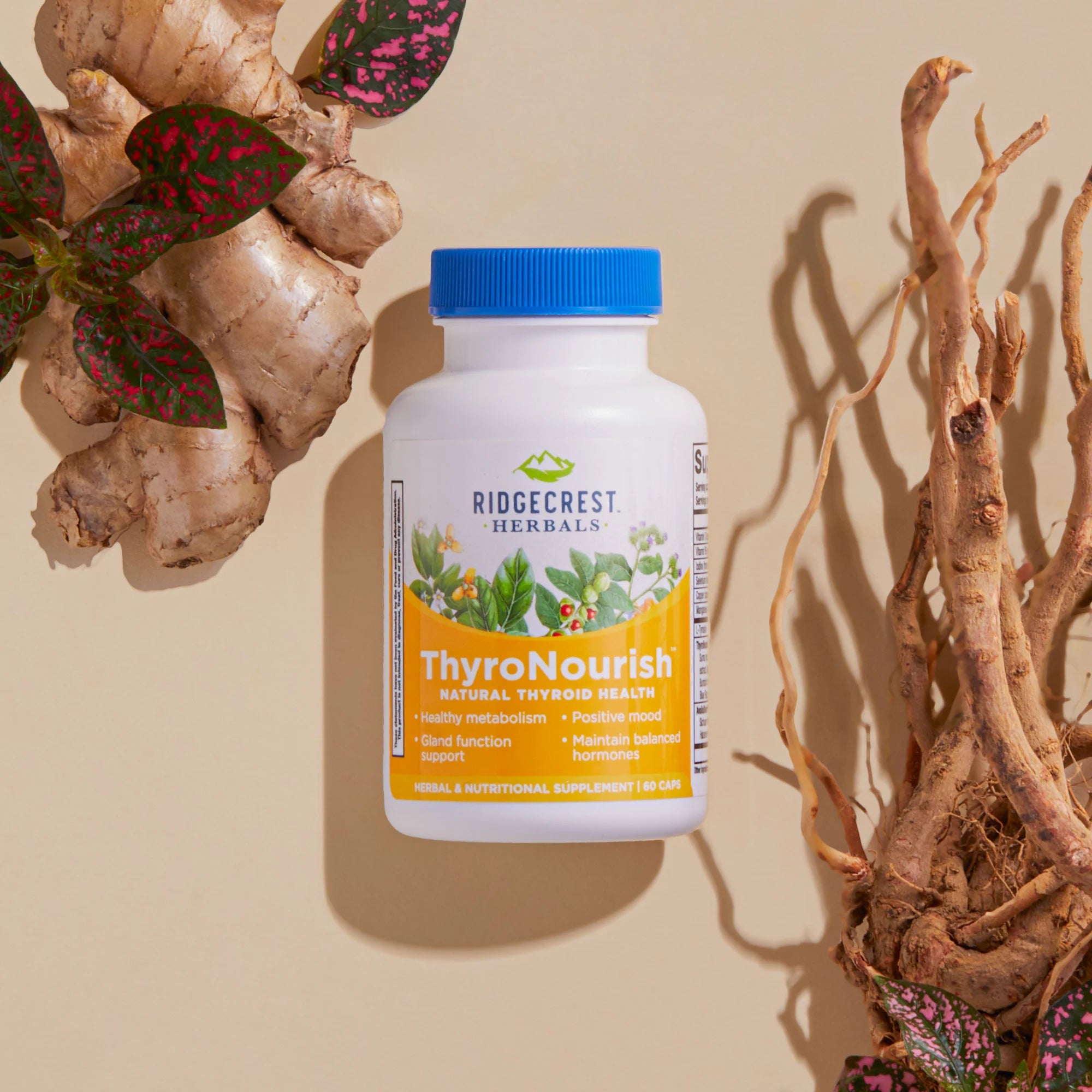 Ridgecrest Herbals ThyroNourish supplement bottle placed on a neutral background, framed by ginger root and plant leaves.