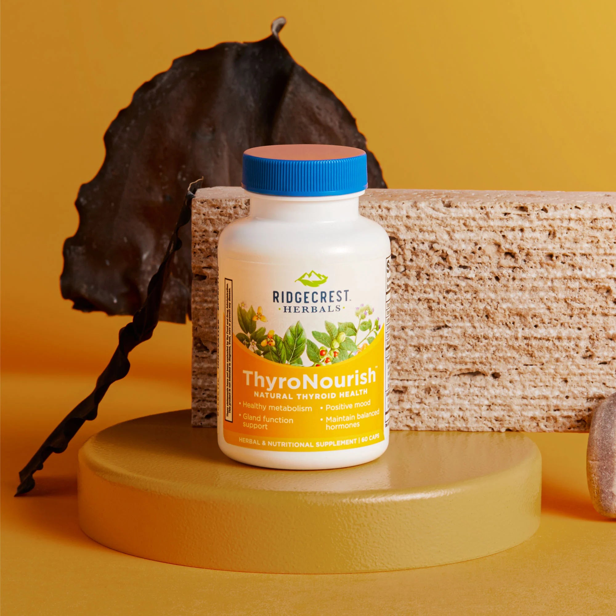 Bottle of ThyroNourish supplement on a pedestal against a yellow ombre background, with a dried leaf and textured stone.