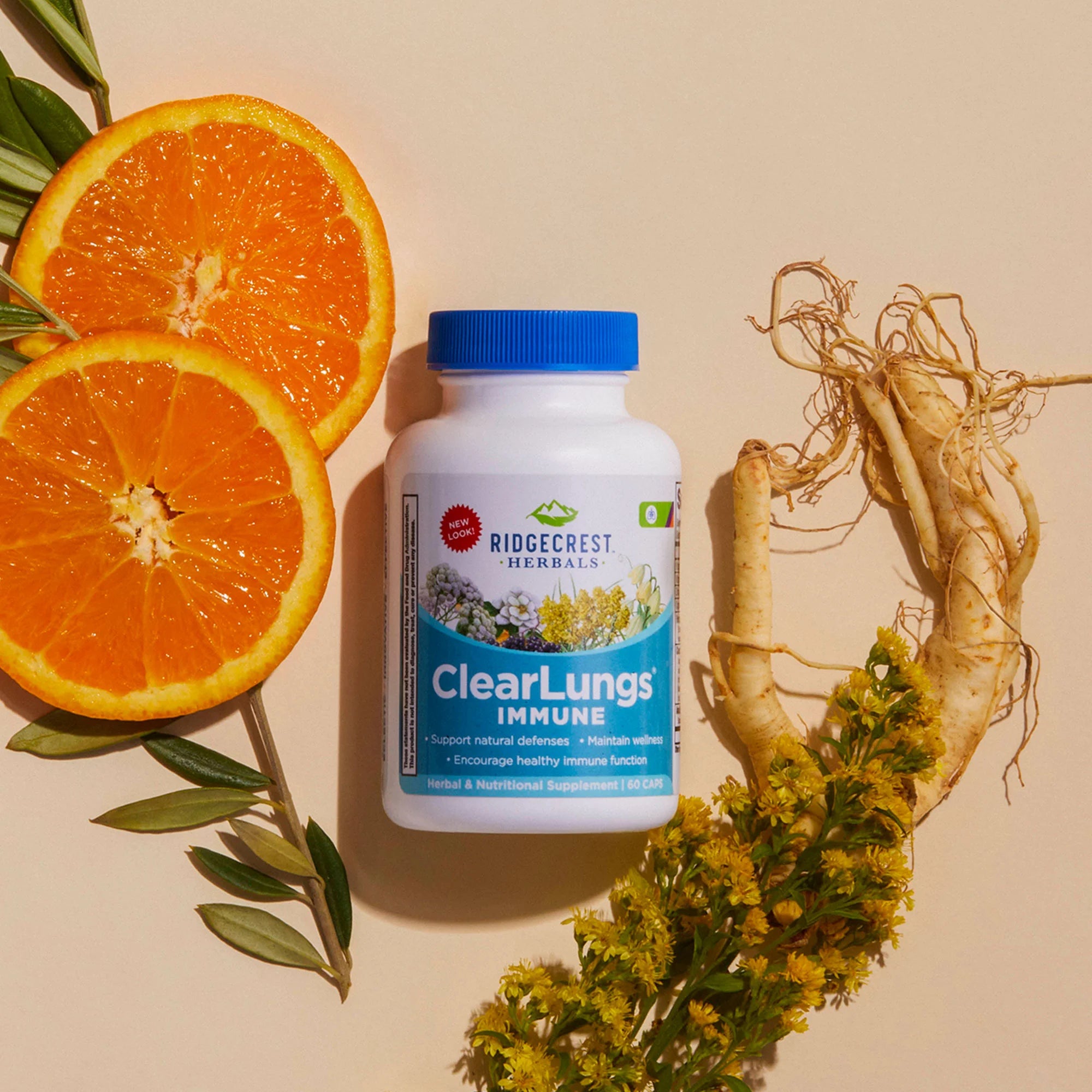 ClearLungs Immune on a cream backdrop surrounded by oranges, olive leaf, Mullein and Isatis Root.